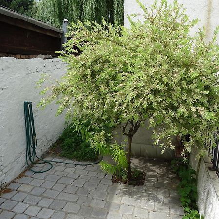 Mur 4 - Apartament Z Patio Stary Toruń Exteriér fotografie